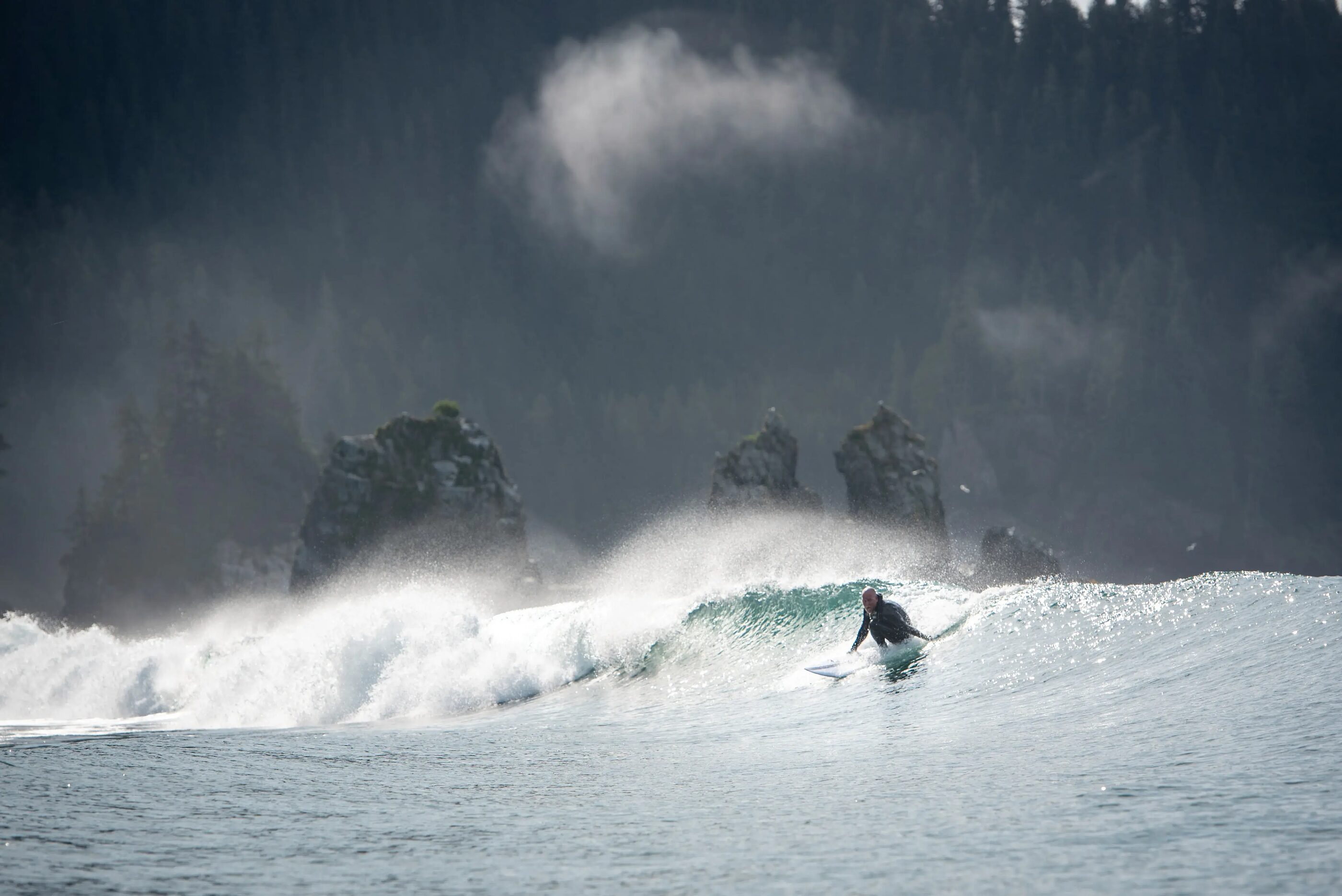 A surfer riding a clean wave below a misty headland of old growth and sea stacks